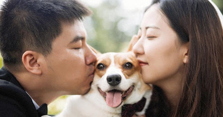 couple kissing their dog