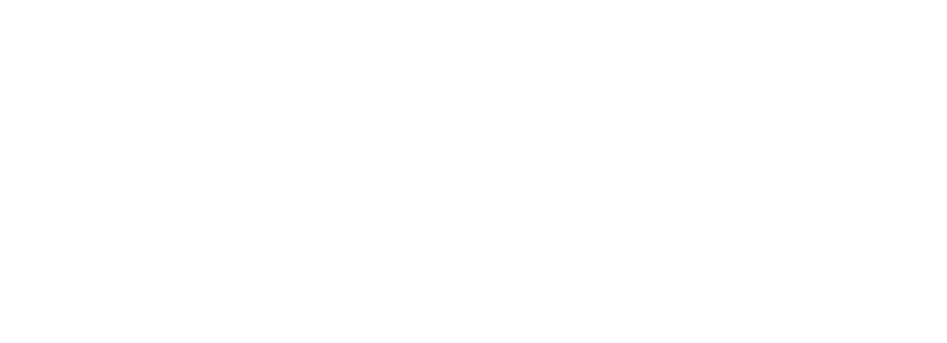 Shenzhen Women logo white version